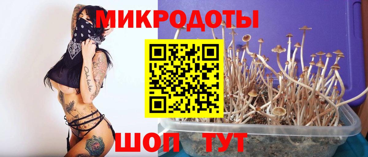 Псилоцибиновые грибы ЛСД  Вход с VPN  Воткинск  Галлюциногенные грибы Cubensis 