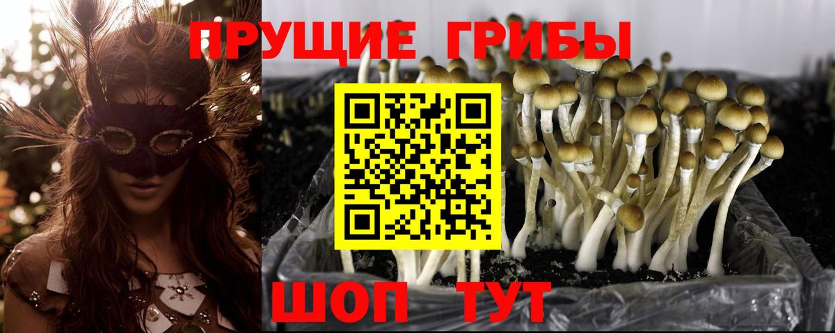 Галлюциногенные грибы MAGIC MUSHROOMS Воткинск